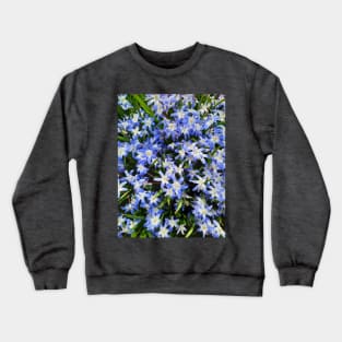 Springtime Flowers, Beautiful Blue Blooms, Gardener Crewneck Sweatshirt